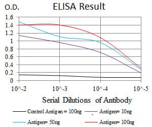 RAP1A Antibody (clone 5F8G2)