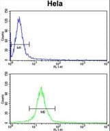 EFTU / TUFM Antibody (aa75-104)