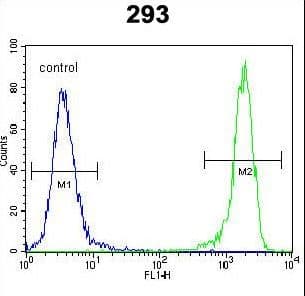 DDIT3 / CHOP Antibody (aa120-149)