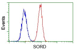 SORD / Sorbitol Dehydrogenase Antibody (clone OTI17E7)