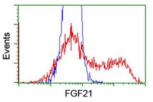 FGF21 Antibody (clone OTI2F10)