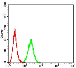 AXIN1 / Axin-1 Antibody (clone 4E9F1)