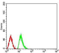 HIST2H4A Antibody (clone 3E7H2)