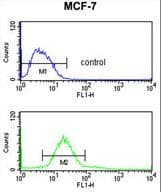 CDIPT Antibody (aa99-125)