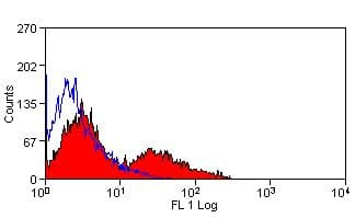 VCAM1 / CD106 Antibody (clone MR106, FITC)