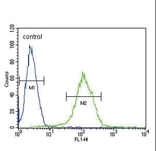 IHC-plus™ CFHR5 Antibody (aa203-231)