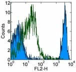 Monoclonal Rat anti-Mouse Ly76 / Ter119 Antibody (clone TER-119, Biotin)