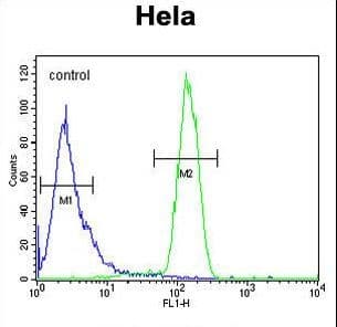 IHC-plus™ Polyclonal Rabbit anti-Human TMEM173 / STING Antibody (aa311-340, IHC, WB)