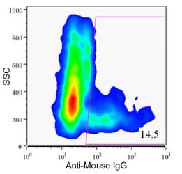 Pancreas Marker HPd1 Antibody (clone DHIC2-4A10)