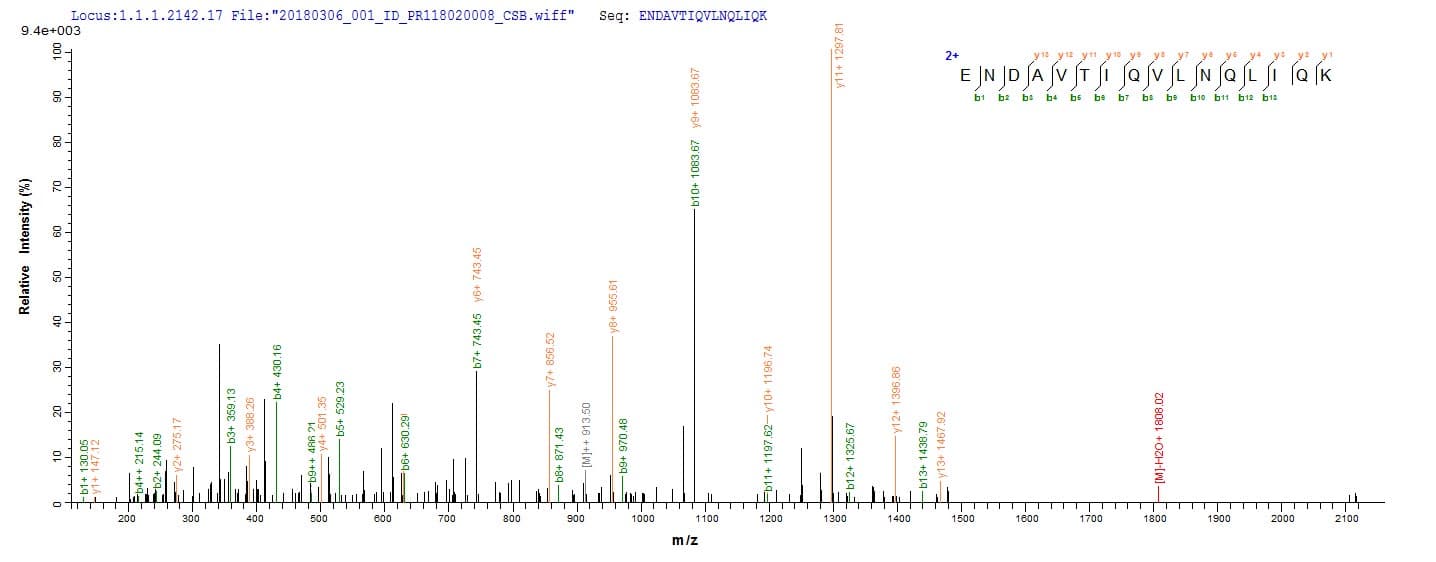 Human VPS35 Protein (Recombinant 10His, N-terminus + Myc, C-terminus)