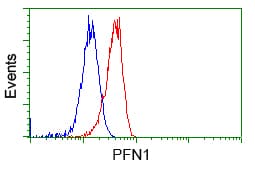 PFN1 / Profilin 1 Antibody (clone OTI2D2, Carrier-free)