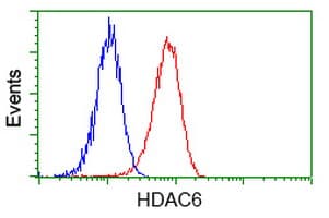 HDAC6 Antibody (clone OTI1D11, Carrier-free)