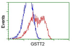 GSTT2 Antibody (clone OTI4F9)