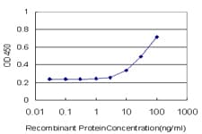 OPRL1 / ORL1 Antibody (clone 2A11)