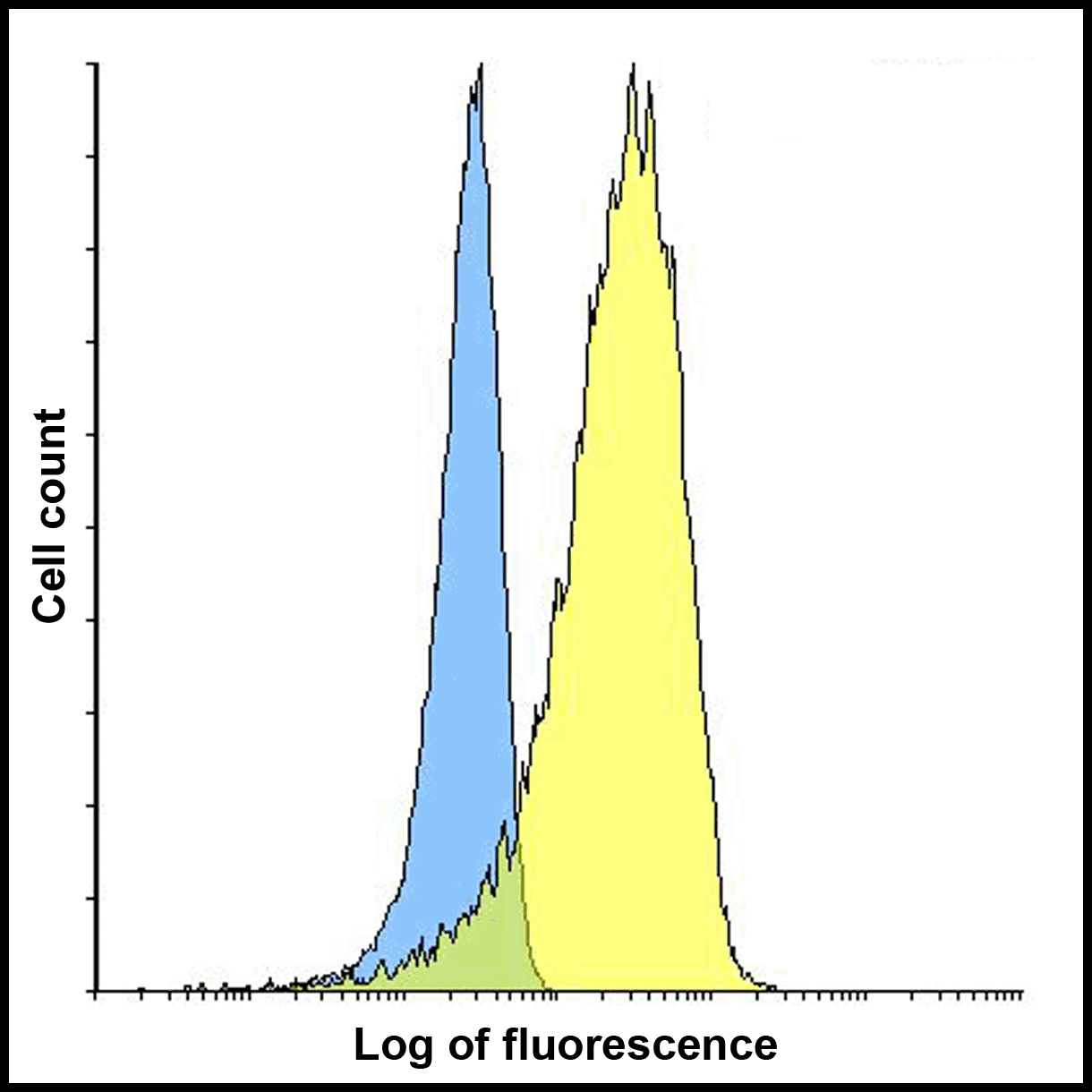 TNFSF14 / LIGHT Antibody (clone 7B9F12)