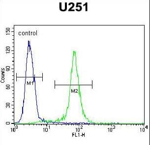 Polyclonal Rabbit anti-Human CCDC9 Antibody (aa19-48, WB)