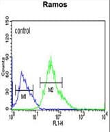 CORO6 Antibody (aa196-224)