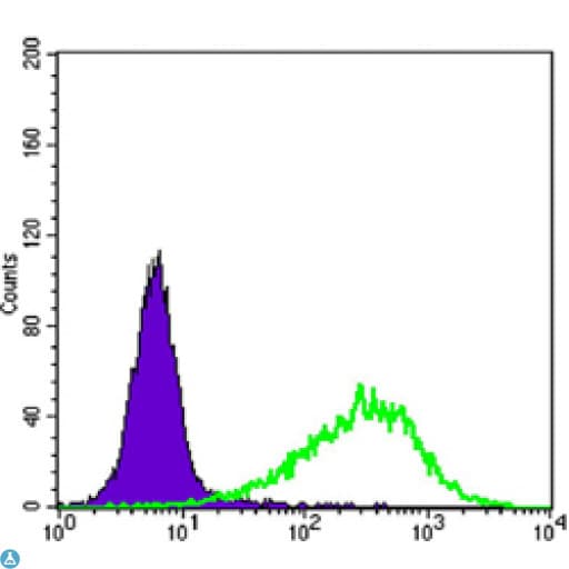 RAB25 Antibody