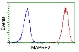 MAPRE2 / EB2 Antibody (clone OTI5F3)
