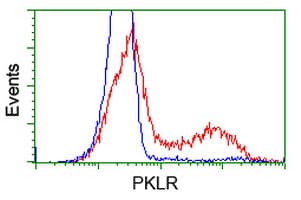 PKLR Antibody (clone OTI1H4)
