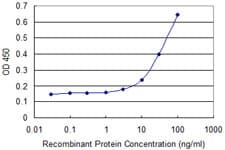 Monoclonal Mouse anti-Human CKS2 Antibody (clone 2H5-2C4, IF, WB)
