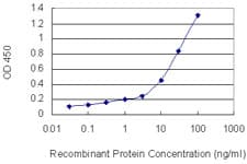 PNN / Pinin Antibody (clone 2B4)