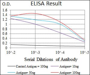 Monoclonal Mouse anti-Human FcERI / Fc Epsilon RI Antibody (clone 1F2A9, aa42-103, WB)