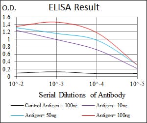 IHC-plus™ Monoclonal Mouse anti-Human ASS1 / ASS Antibody (clone 2C10, IHC, WB)