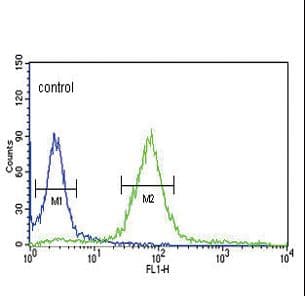 Polyclonal Rabbit anti-Human HPRT1 / HPRT Antibody (aa150-178, IHC, WB)