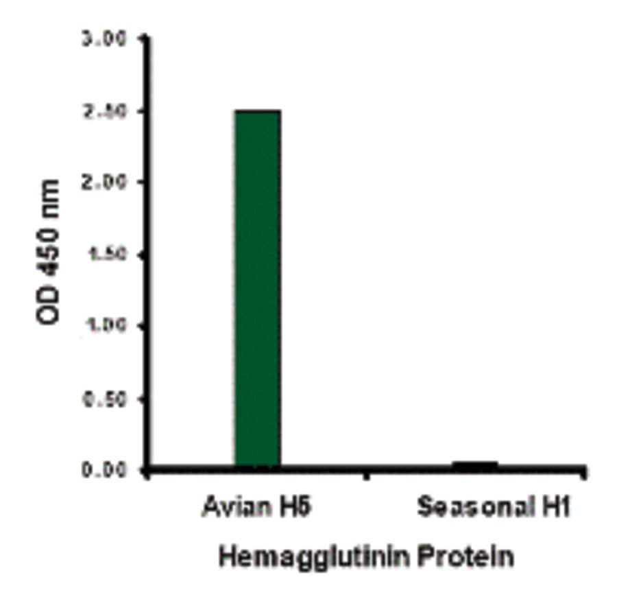 Influenza A Virus Hemagglutinin Antibody