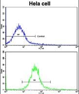 NANOS1 / NOS1 Antibody (aa263-292)