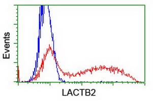 LACTB2 Antibody (clone OTI4H6, Carrier-free)