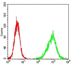 HIST3H3 Antibody (clone 4E9B11)