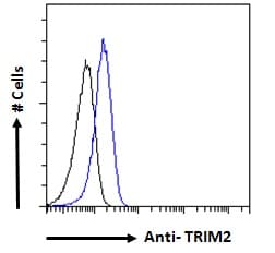 IHC-plus™ KIAA0517 / TRIM2 Antibody (aa758-771)