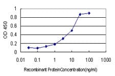 IHC-plus™ TCP1 Antibody (clone 2B2-D6)