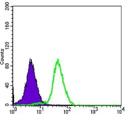 CD276 / B7-H3 Antibody (clone 6A1)