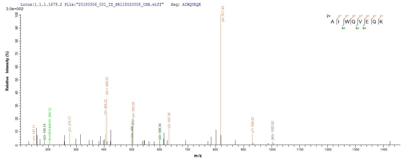 Neisseria meningitidis porB Protein (Recombinant 6His, N-terminus)