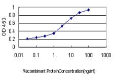 Monoclonal Mouse anti-Human MCM2 Antibody (clone 6A8, IF, WB)