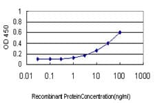 NODAL Antibody (clone 5C3)