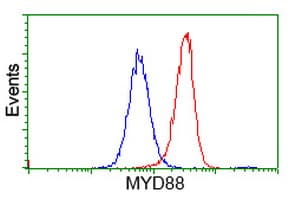 MYD88 Antibody (clone OTI1A10)