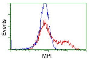 Monoclonal Mouse anti-Human Mannose Phosphate Isomerase Antibody (clone OTI1C7, Carrier-free, IHC, IF, WB)
