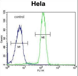 SP5 Antibody (aa369-398)