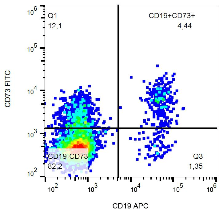 NT5E / eNT / CD73 Antibody (clone AD2, FITC)