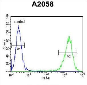 PTMS / Parathymosin Antibody (aa57-85)