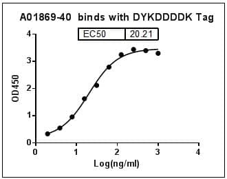 DYKDDDDK Tag Antibody (clone 114F12C8, HRP)