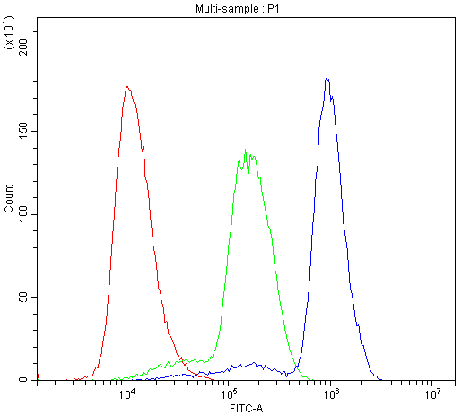 PTPN11 / SHP-2 / NS1 Antibody (aa582-597)