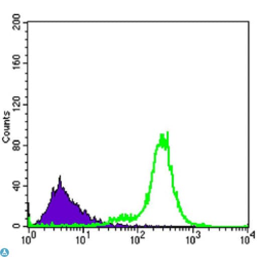 IL34 Antibody