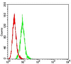 IHC-plus™ IGHM / IgM Antibody (clone 9A8A4)