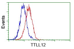 KIAA0153 / TTLL12 Antibody (clone OTI12B7, Carrier-free)