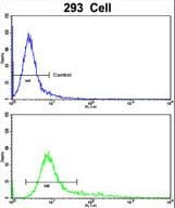 IHC-plus™ Polyclonal Rabbit anti-Human TSHZ1 Antibody (aa656-685, IHC, WB)